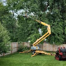 Reliable Pen Argyl, PA Tree Removal and Landscaping Services Solutions